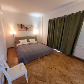 Anastasia Balcescu Apart 1 Beautiful View Self Check in Code from 2 PM only microwave